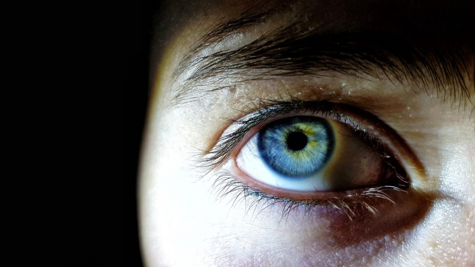 Beautiful closeup shot of a female human’s deep blue eyes